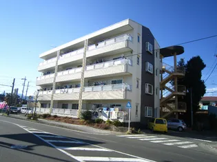 杉本ハイツの画像