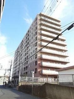 ラクシア荒川沖の画像