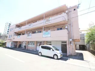 Y'Sコートの画像