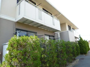 キャッスル平田B【2階】の外観