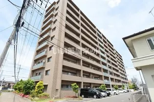 サーパスシティ守谷【9階】の外観