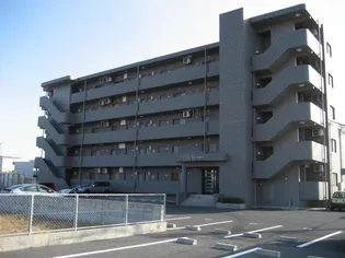 スカイマンションC【3階】の外観