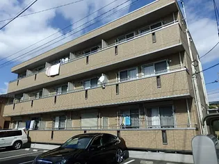 GEMINI ONNAの画像