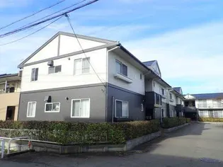 モンアミの画像