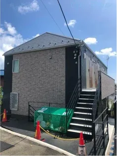 ピスタチオの画像