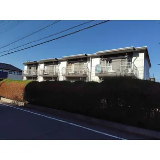 サンホワイトMの画像