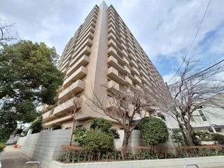 綾瀬プルミエの画像