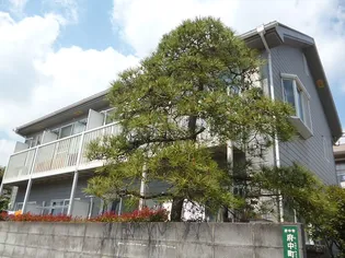 セラビの画像