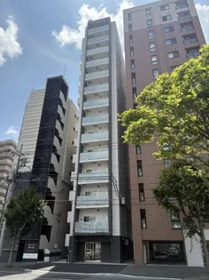 ディアレイシャス札幌ステーション【12階】の外観