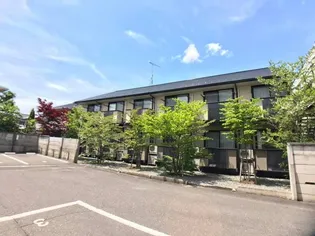 ミレニアム朝日の画像