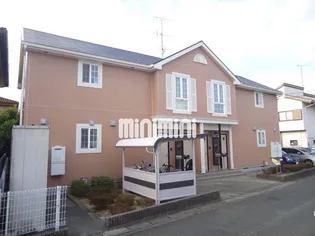 プリムラの画像