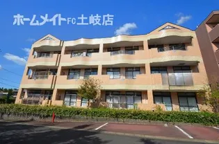 プルメリアイズシの画像