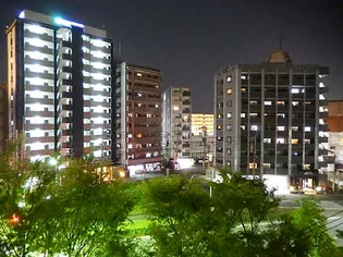 エンクレスト大橋【9階】の外観