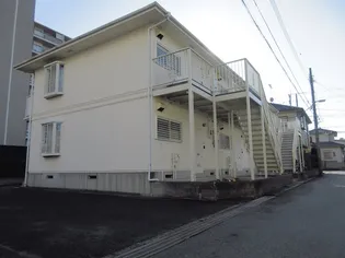 ビューラカモメの画像