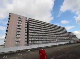 白井ロジュマン【4階】の外観