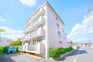 SHINING COMPO Nの画像