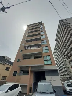 コリドールリブの画像