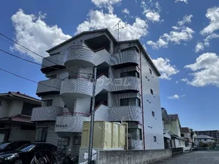 キャレットの画像