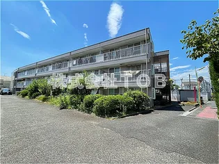 プラムガーデンの画像