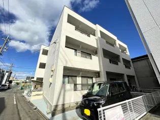 プチキャロルの画像