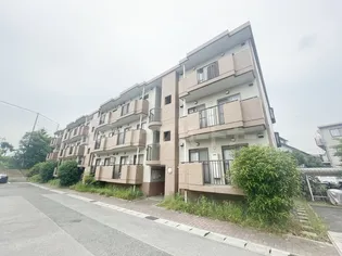 キャロットミノルの画像