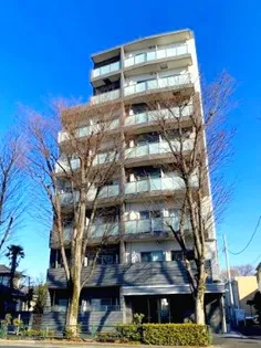 HY'S上石神井の画像