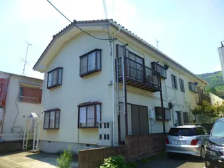 ハイムマキの画像