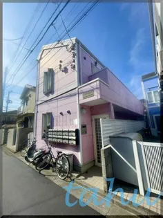 シエスタパンジーの画像