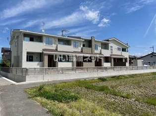 グラシアスの画像