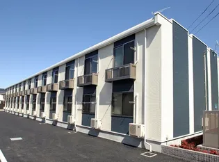 レオネクストブルーリーフの画像