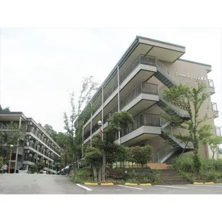 グランドハイツ正蓮寺61の画像