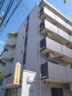 スプリングストーン Mの画像