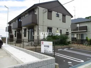 プルメリアの画像