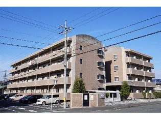 タウンアローズ30の画像