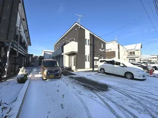 ルピナスAの画像