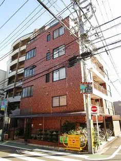 グレースヒグチの画像