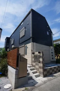 ブルステラの画像