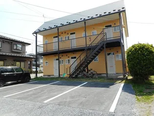 セントポーリアの画像