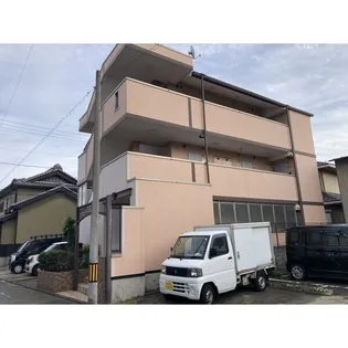 ボアタマリスの画像