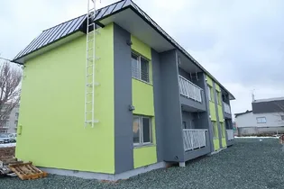 HORSE WIN17の画像