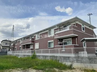 メイフラワーの画像