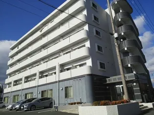 エアリスの画像