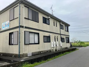 ボラボラの画像