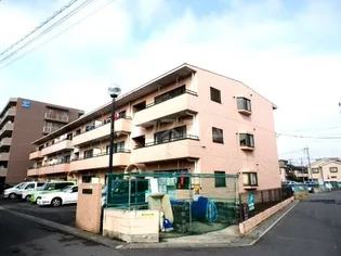 エクセレンスアライの画像