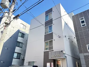 ルピナス7 8の画像