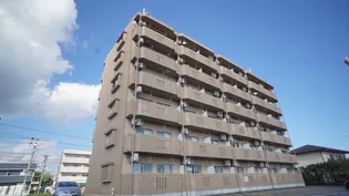 メゾン・ド・ルミエール【4階】の外観