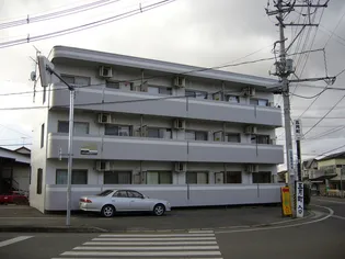 ミューリーシティの画像