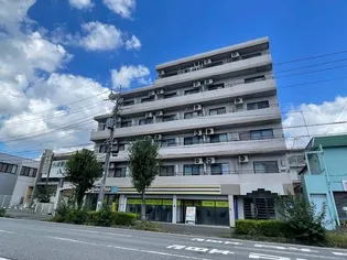 ジュネパレス柏第29【6階】の外観