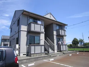 ラフィードの画像