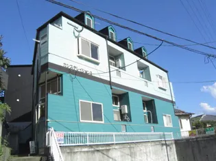 カンステレイションⅡの画像